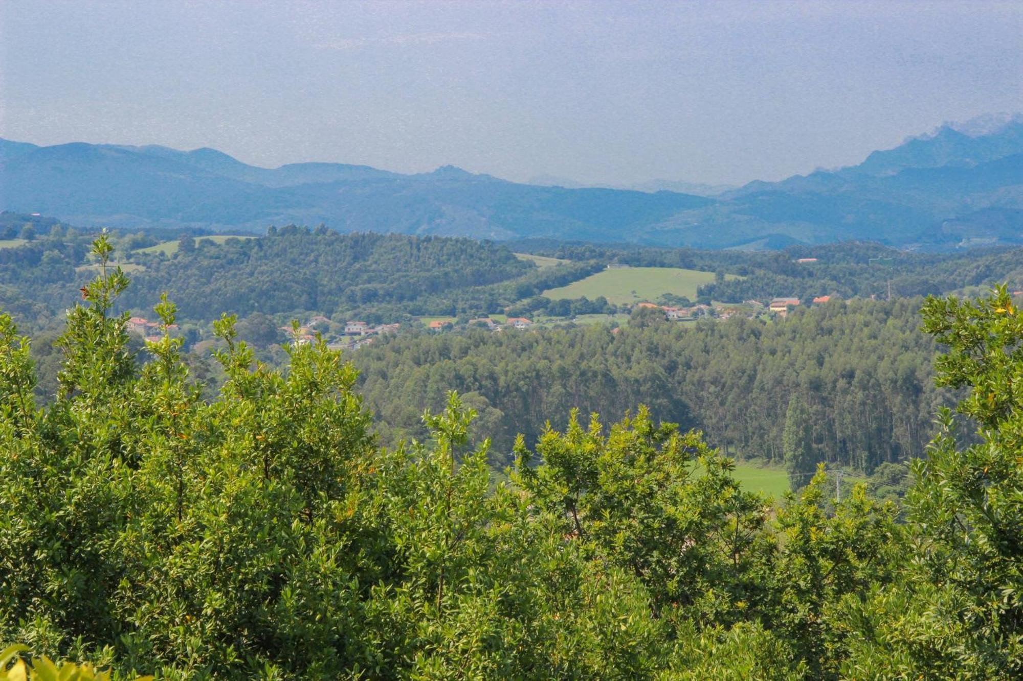 El Collado, Ruiloba Villa Sierra  Екстериор снимка